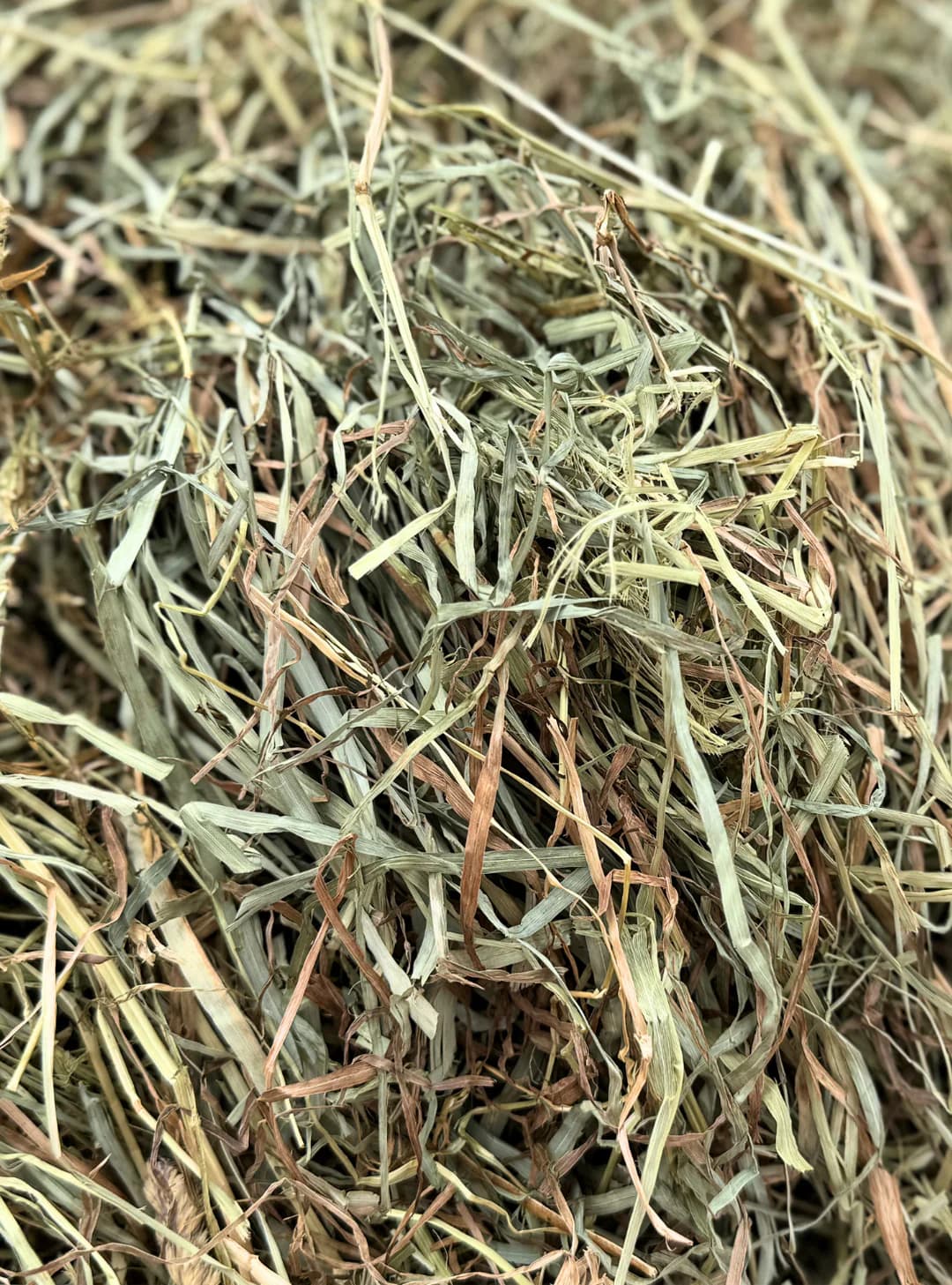 Low Sugar Hay